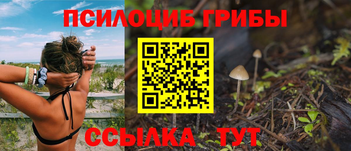 Галлюциногенные грибы Psilocybe  Вход с VPN  Галлюциногенные грибы ЛСД  Советский 